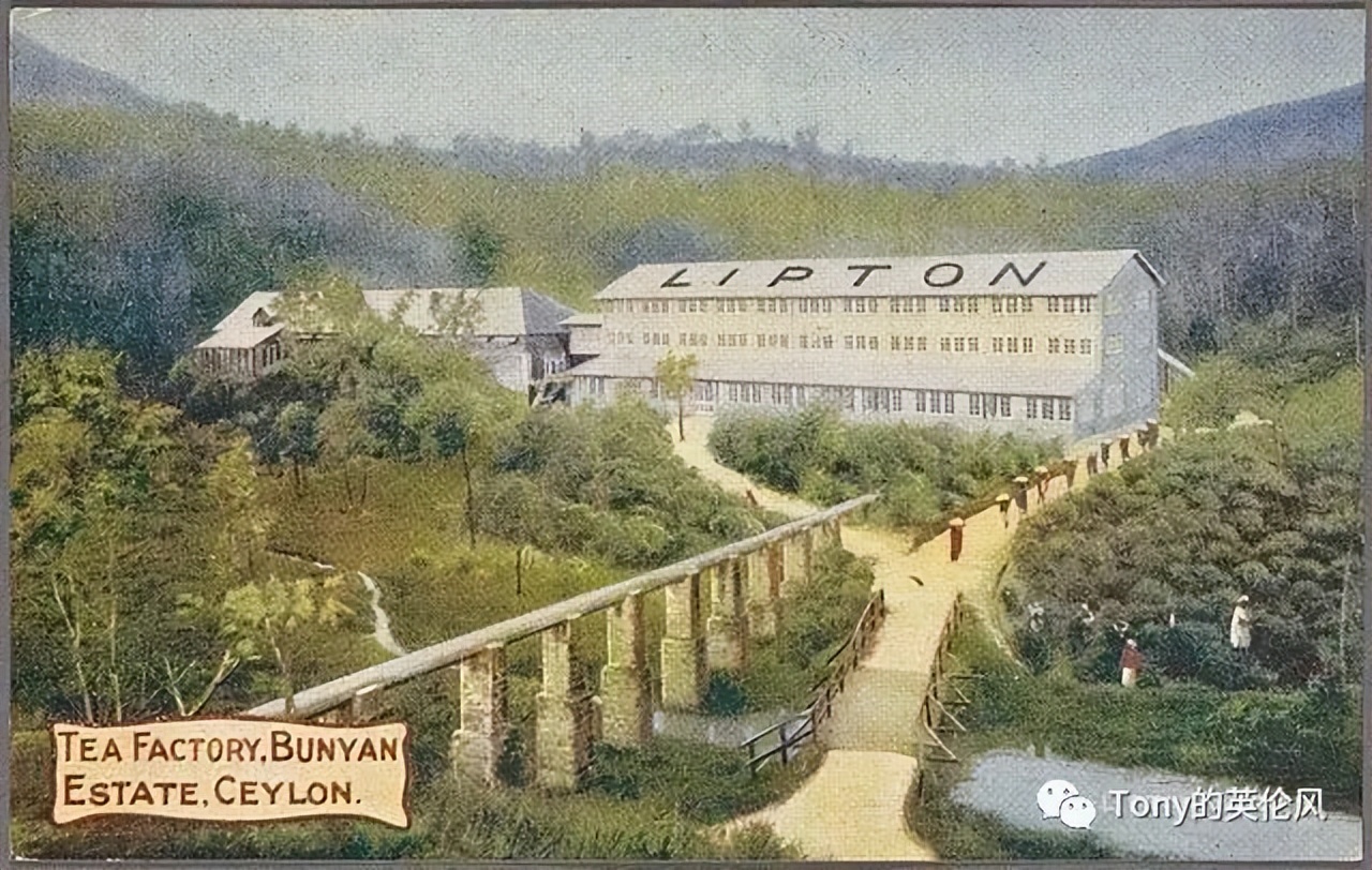 不产茶的英国如何将立顿推向世界第一？
