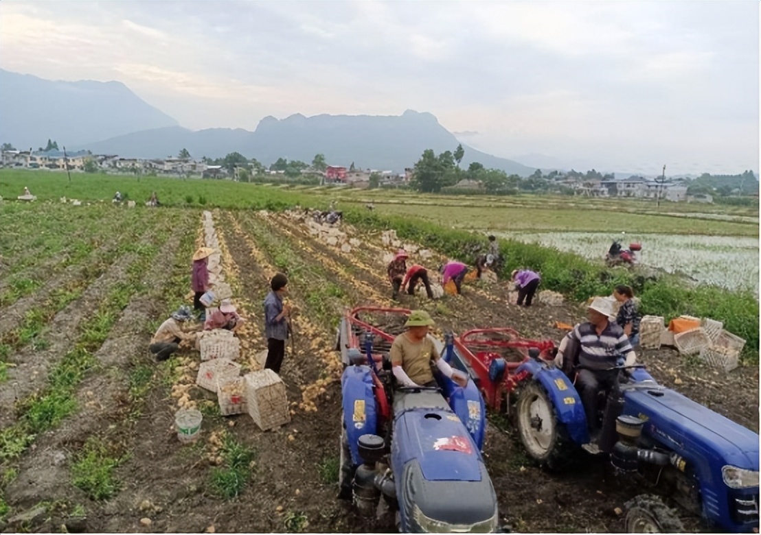 四川省级百强示范家庭农场,全国21家典型家庭农场案例