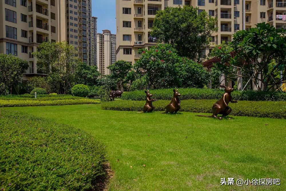 临深龙光城最好的楼盘,临深龙光城都是深圳人在买吗