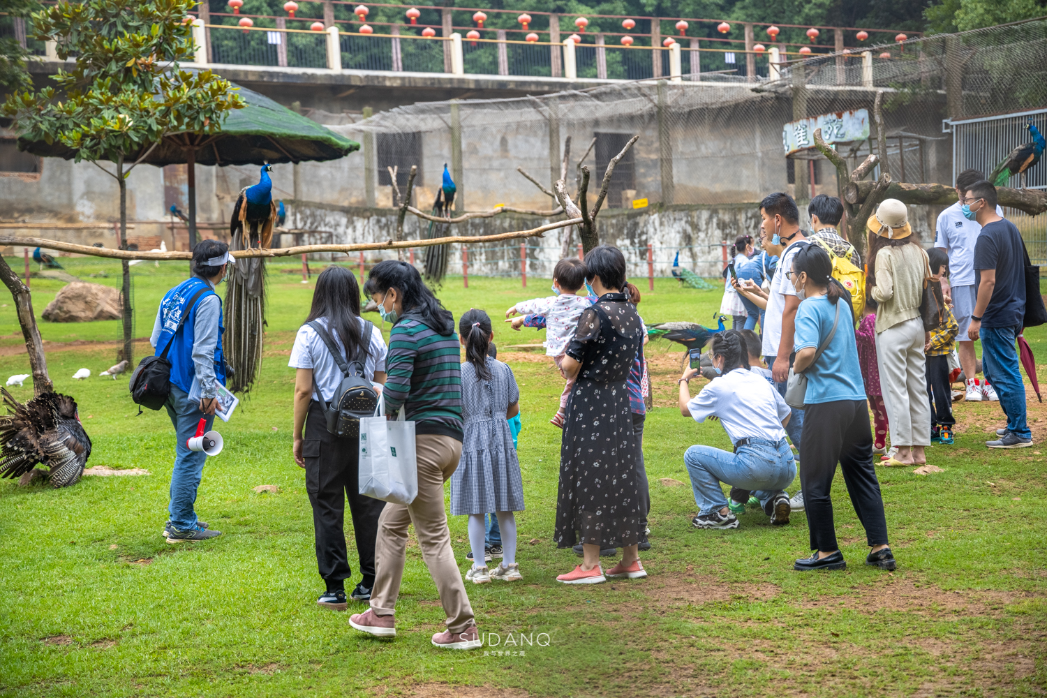 武汉哪个动物园比较适合小朋友玩,武汉值得带孩子去的动物园