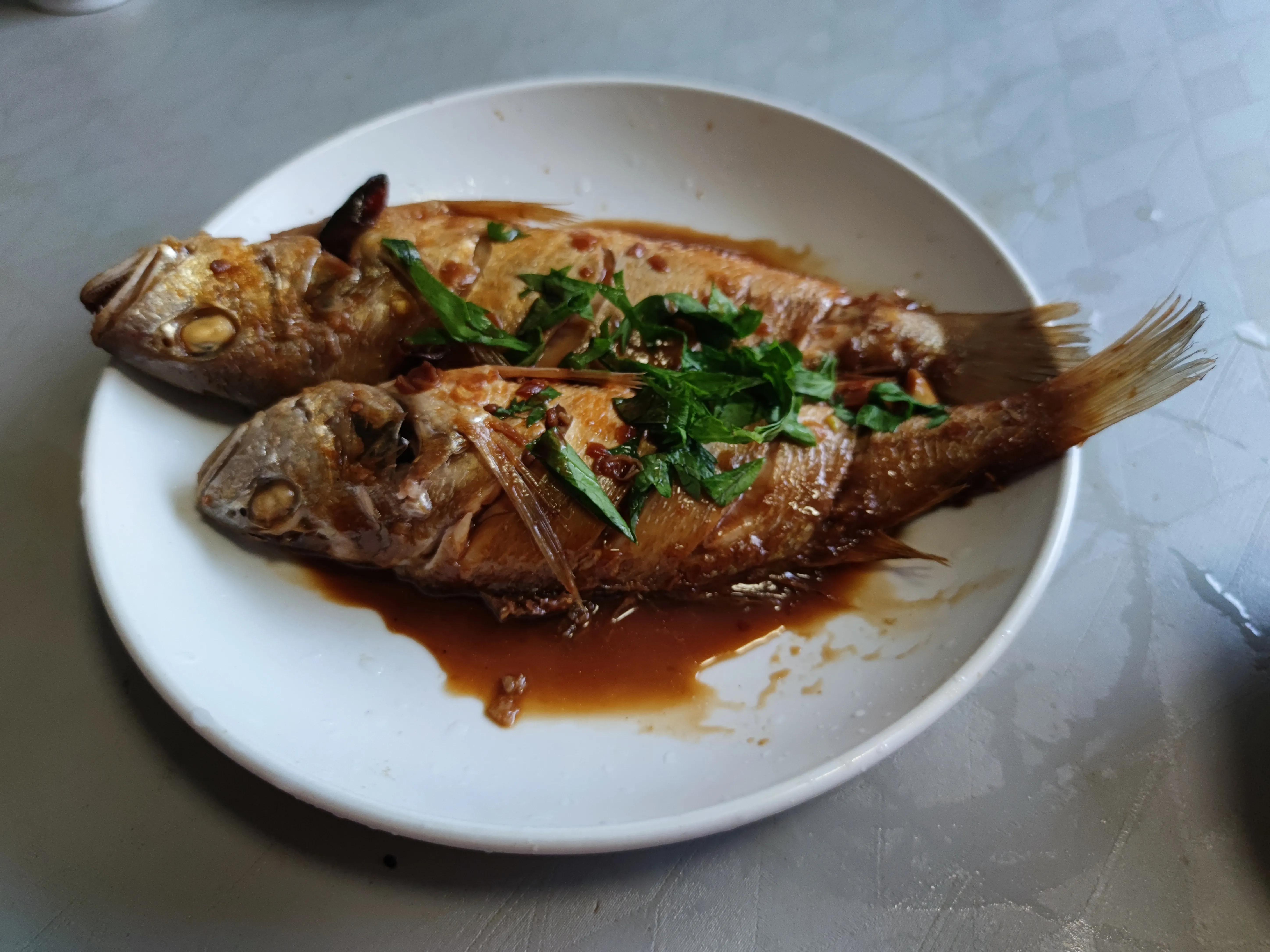 这4种海鱼将大量上市,十种最便宜的海鱼