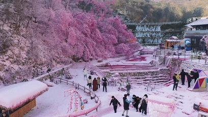 去冰雪冒险,去冒险奇幻旅行