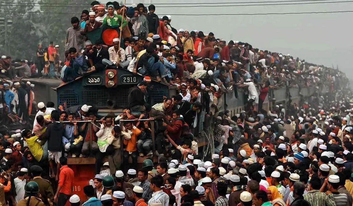 印度牛粪饼网上热销一度卖到断货,印度的牛粪饼是干什么用的