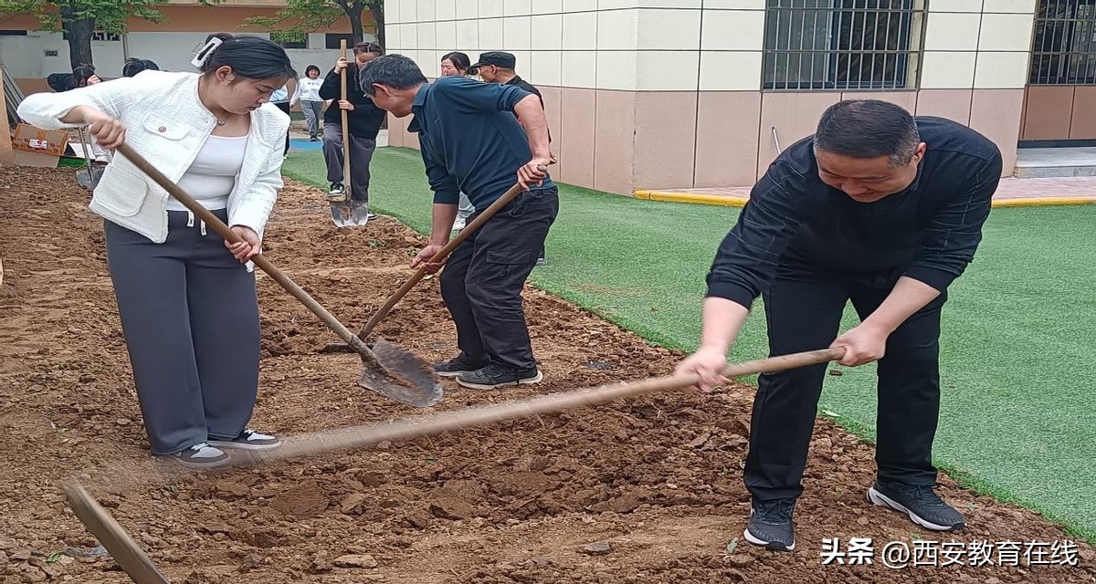 小种植大收获——新合四幼种植活动