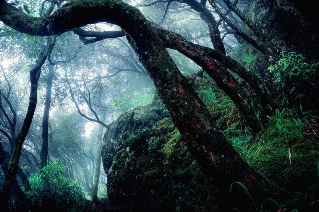 山系生活,高端玩家的夏天是25℃!