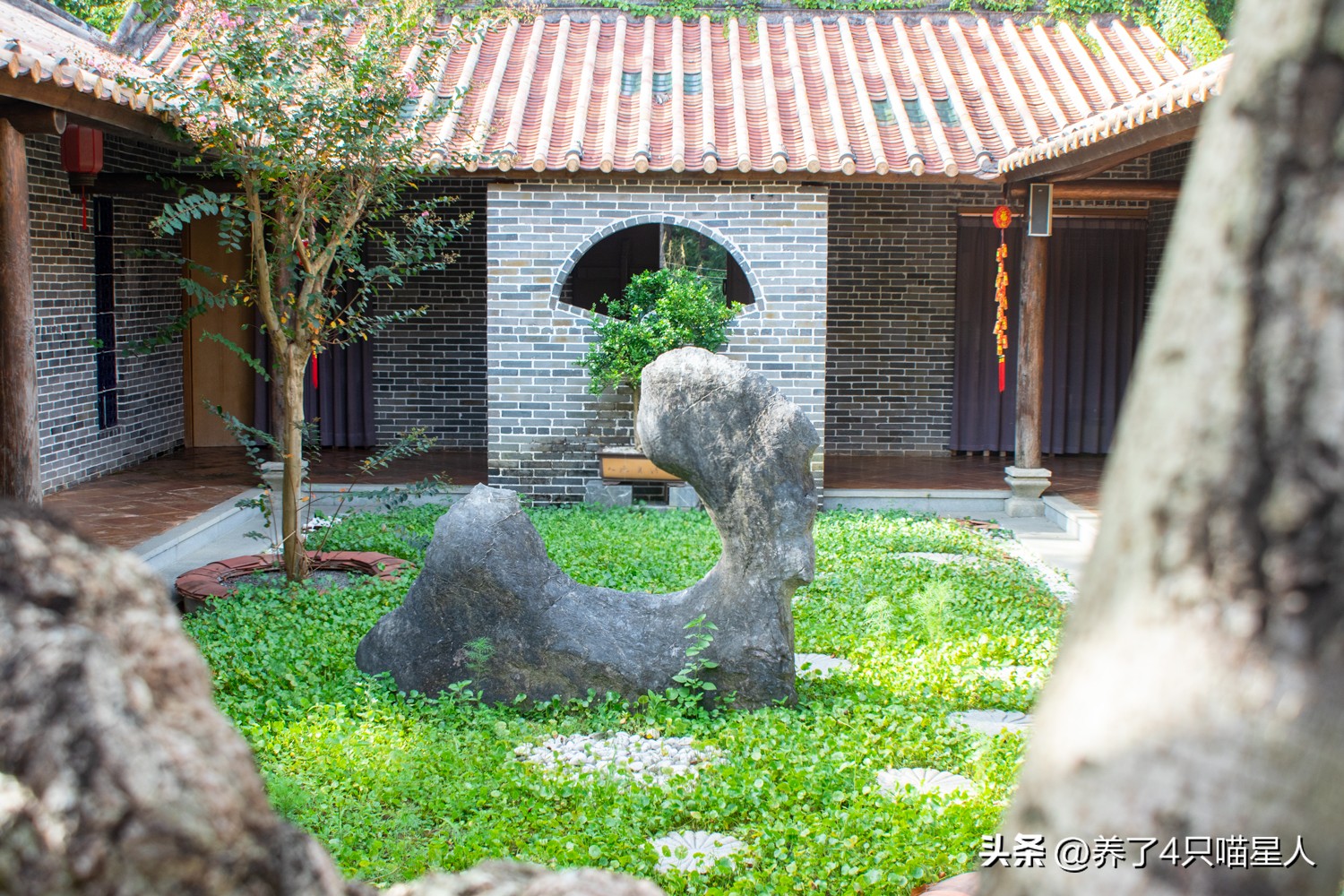 清远英德仙湖温泉旅游度假区，品茶露营好山好水，惊叹亿年钟乳石