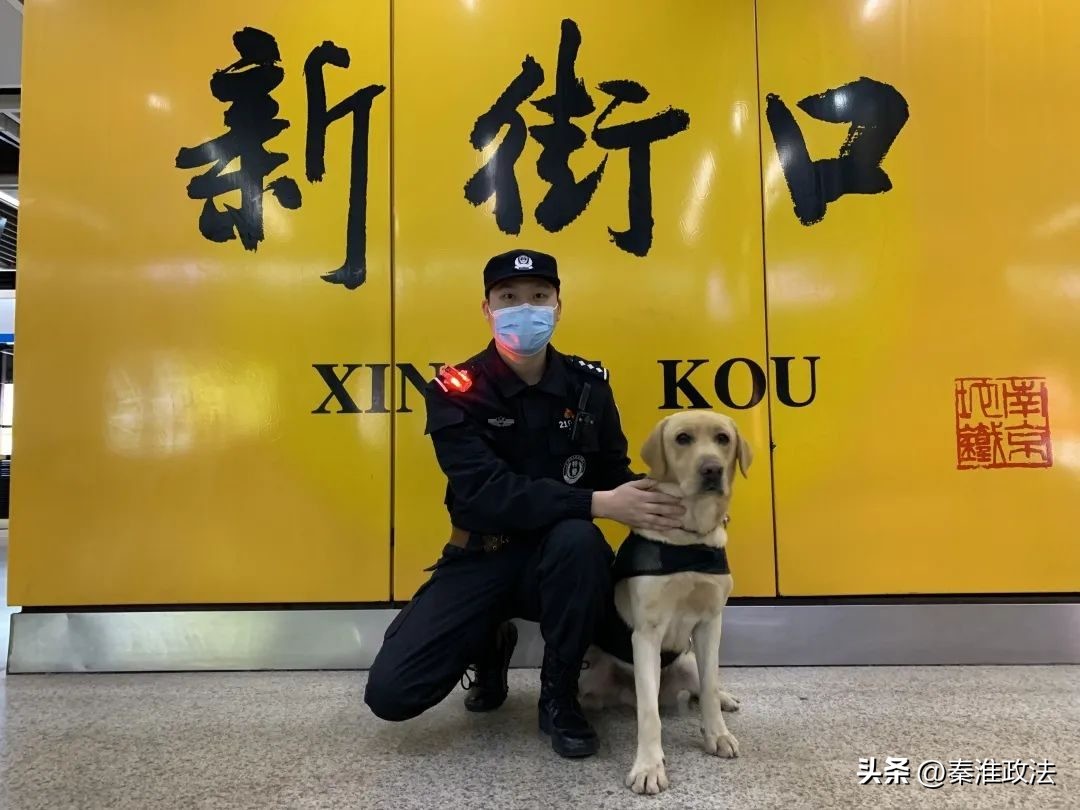 守望故宫,守望南京