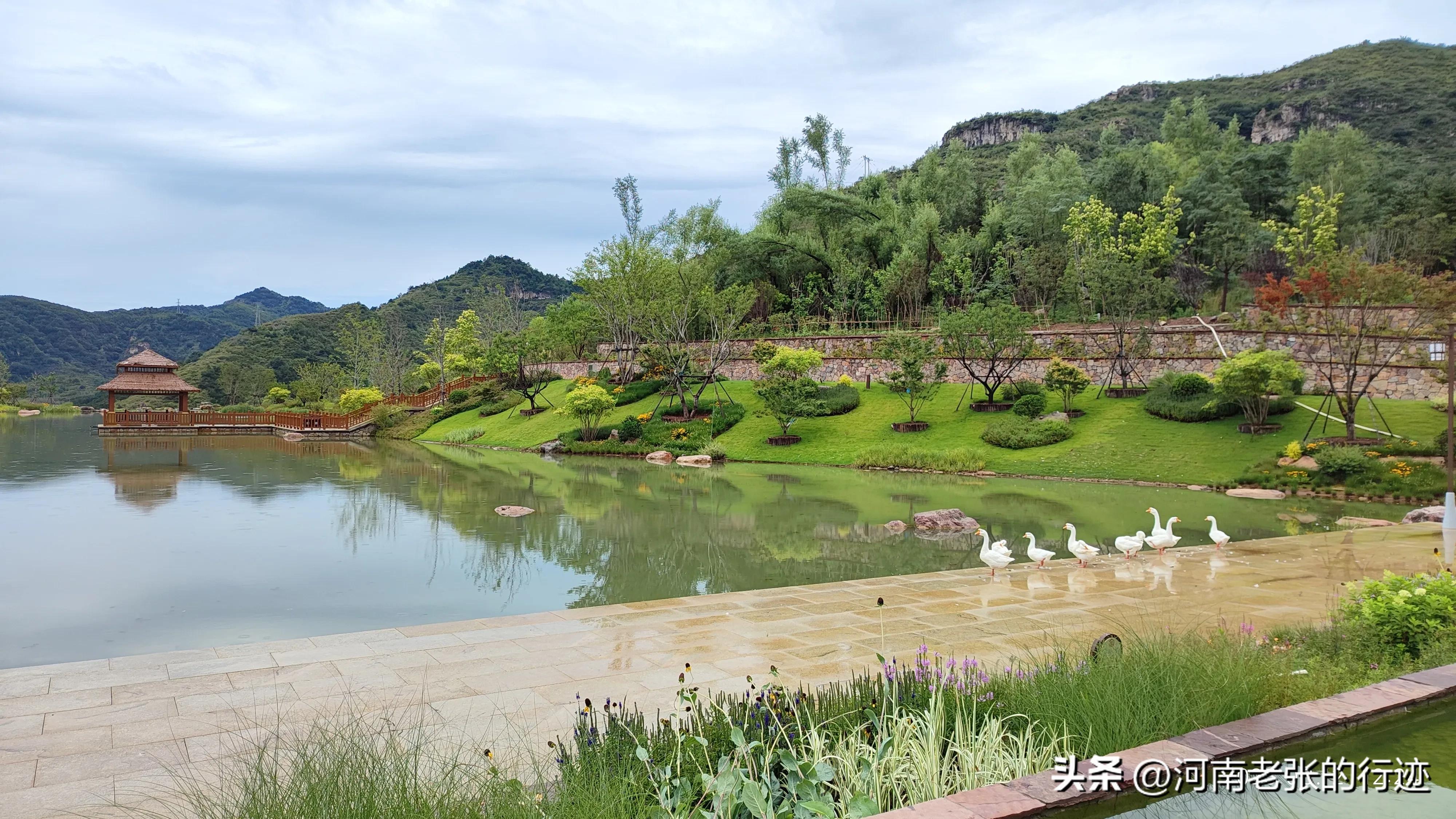 河南太行山王莽岭避暑地方,王莽岭景区十大网红景点之小太行