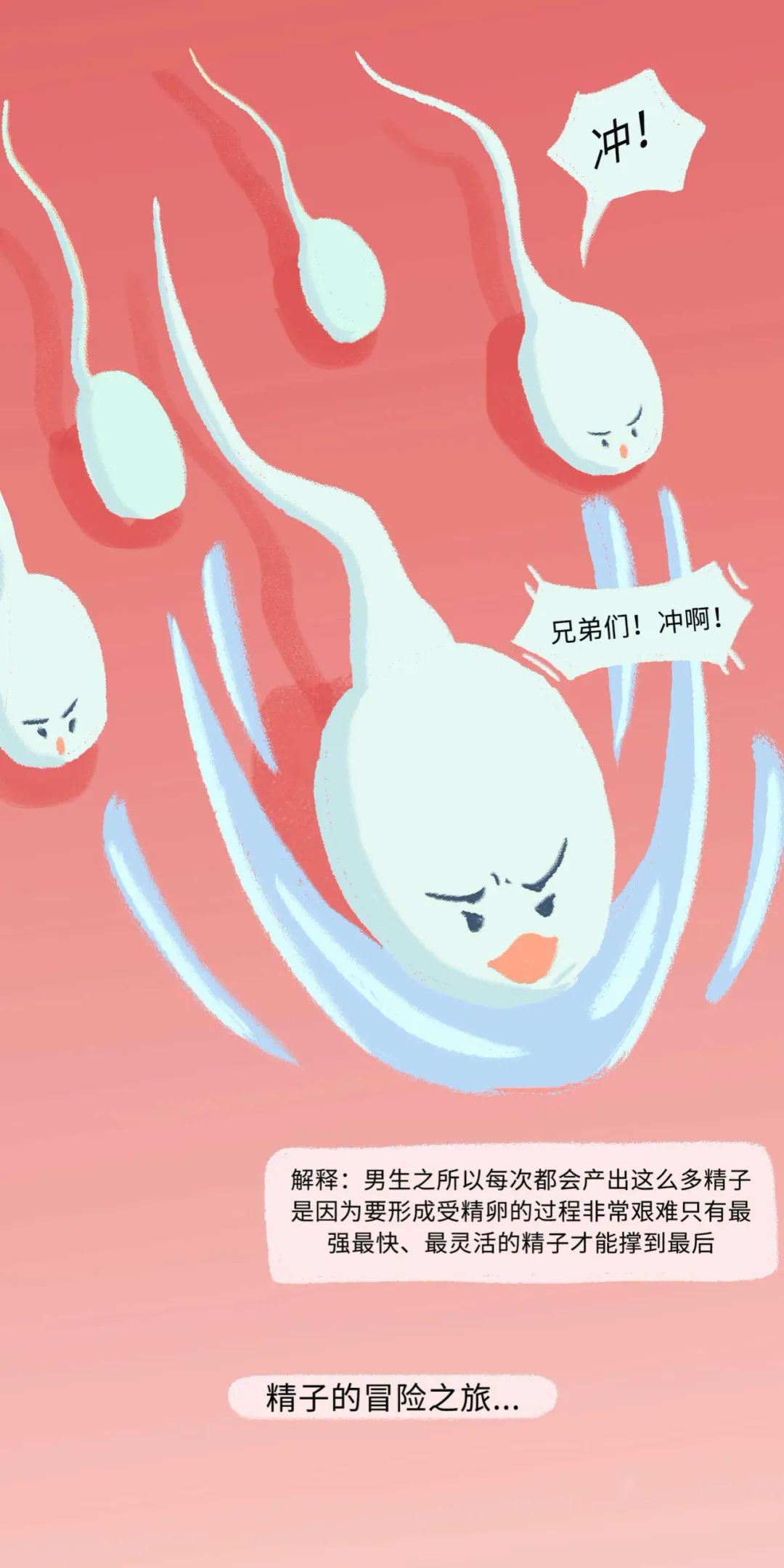 漫画：精子进入女生体内的全过程曝光！别害羞，早知早受益