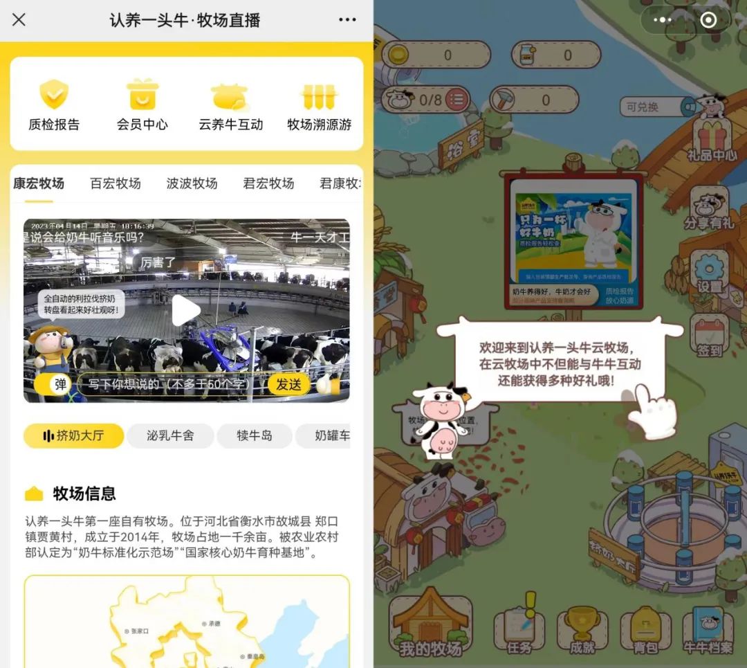 认养一头牛养到多少牛才能有礼品,认养一头牛养牛活动兑奶是真的吗