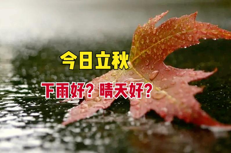 立秋当天下雨有什么说法,立秋当天下雨好还是不下雨好