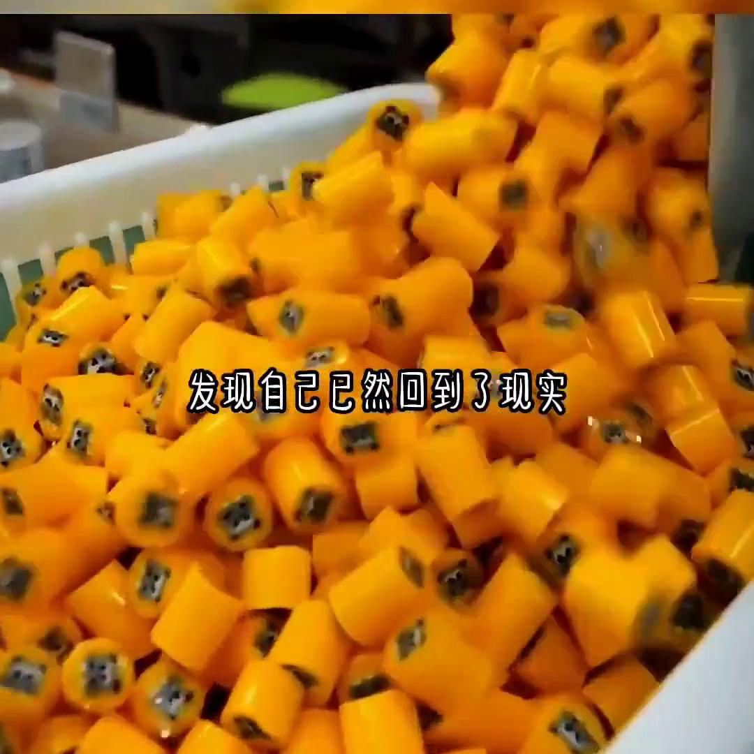 送风之花@DOU+小助手