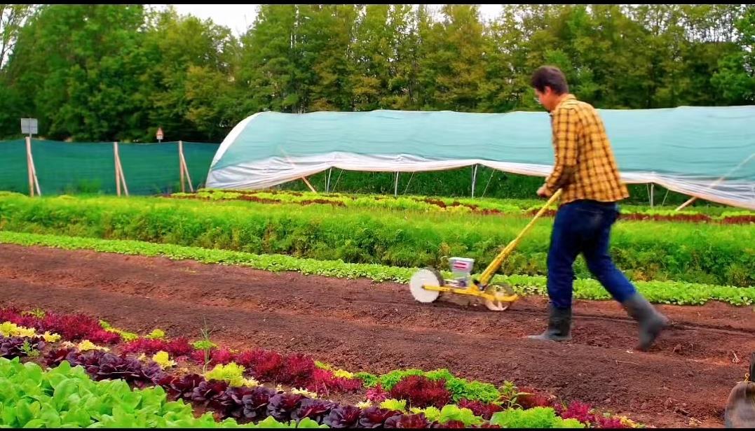 欧洲家庭农场种植技术,小型先进农业工具