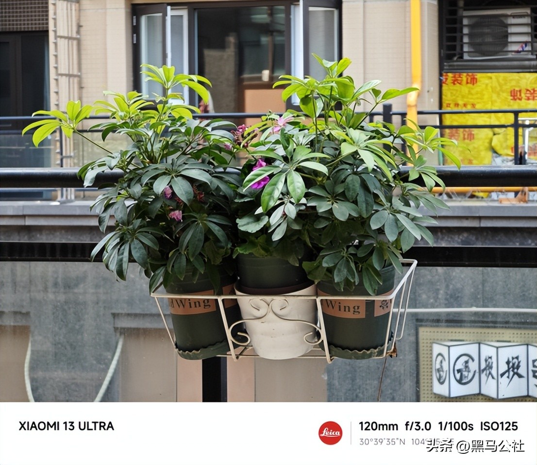 oppo和小米拍照对比,oppo大战vivo