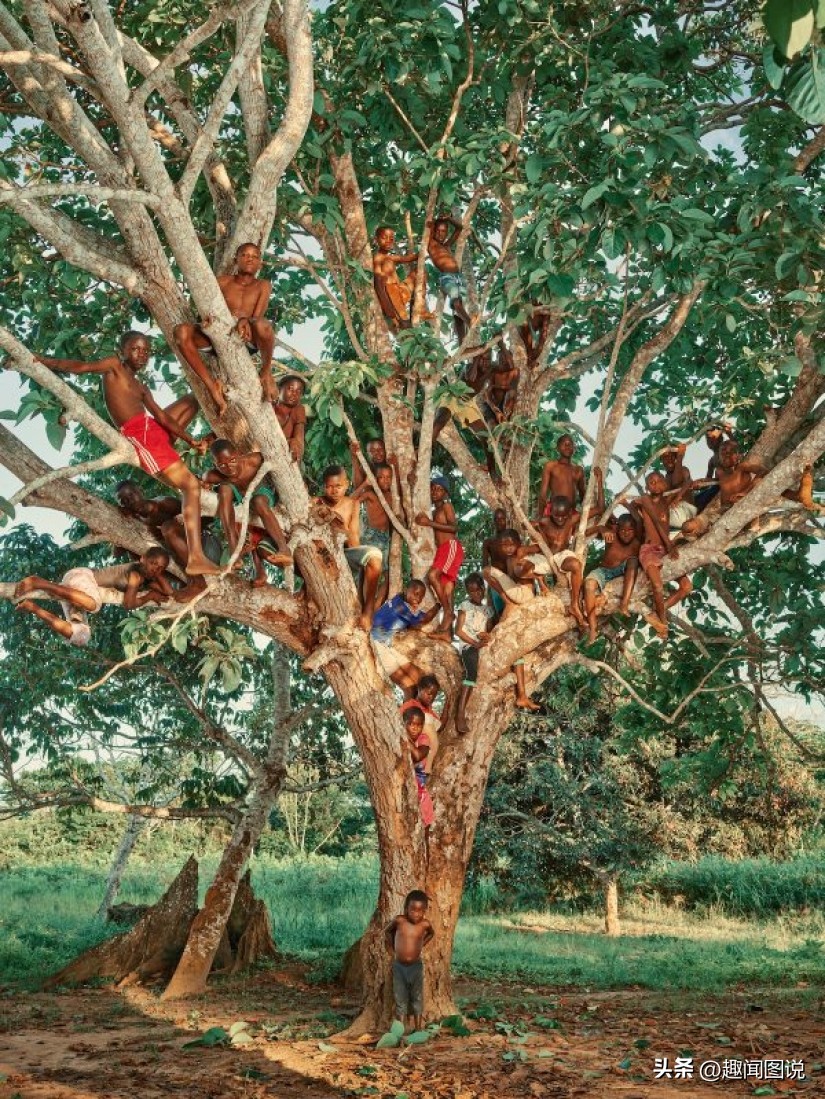 风靡美国的柠檬杯胸罩，印度*队军**的大象战机，36张图看世界