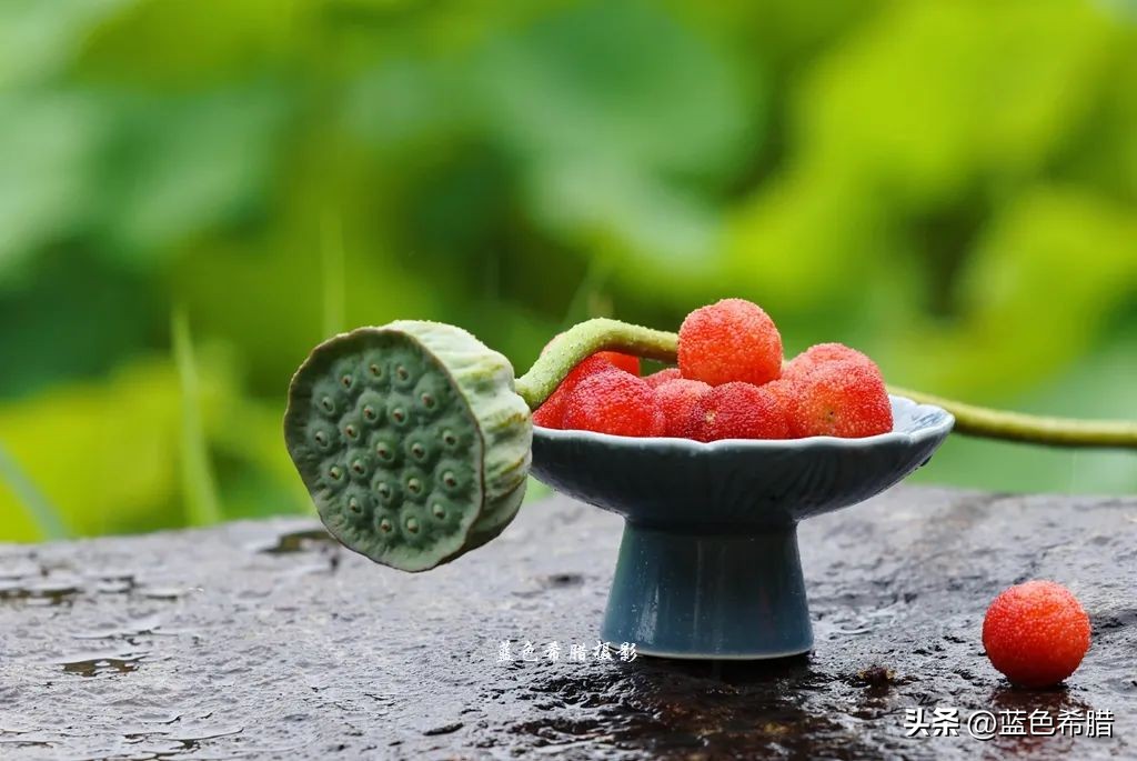 绚烂夏花，夏日物语，或热烈、或温婉，让这个夏天有了色彩和香气