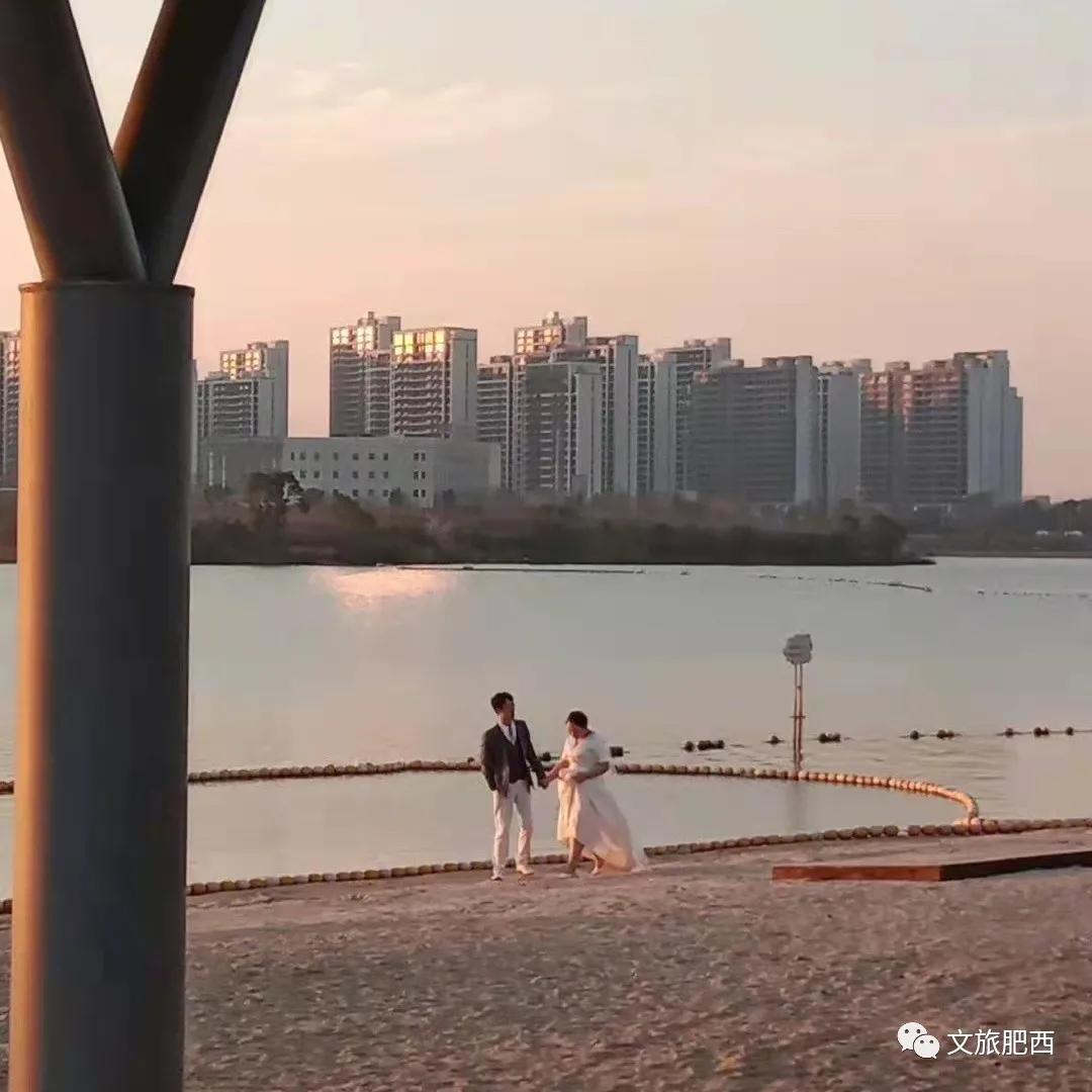 原来，在社交平台中，肥西的真实风景是这样的