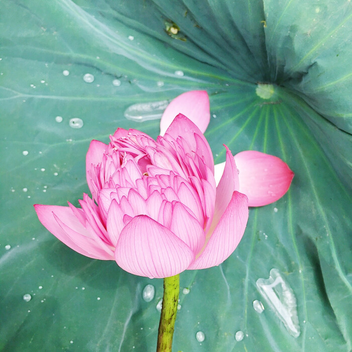 高深莫测善于驾驭人心的三大星座,抓住另一半软肋的星座