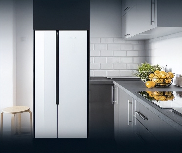 疫情囤货西门子冰箱,西门子冰箱kx50ns20ti怎么样