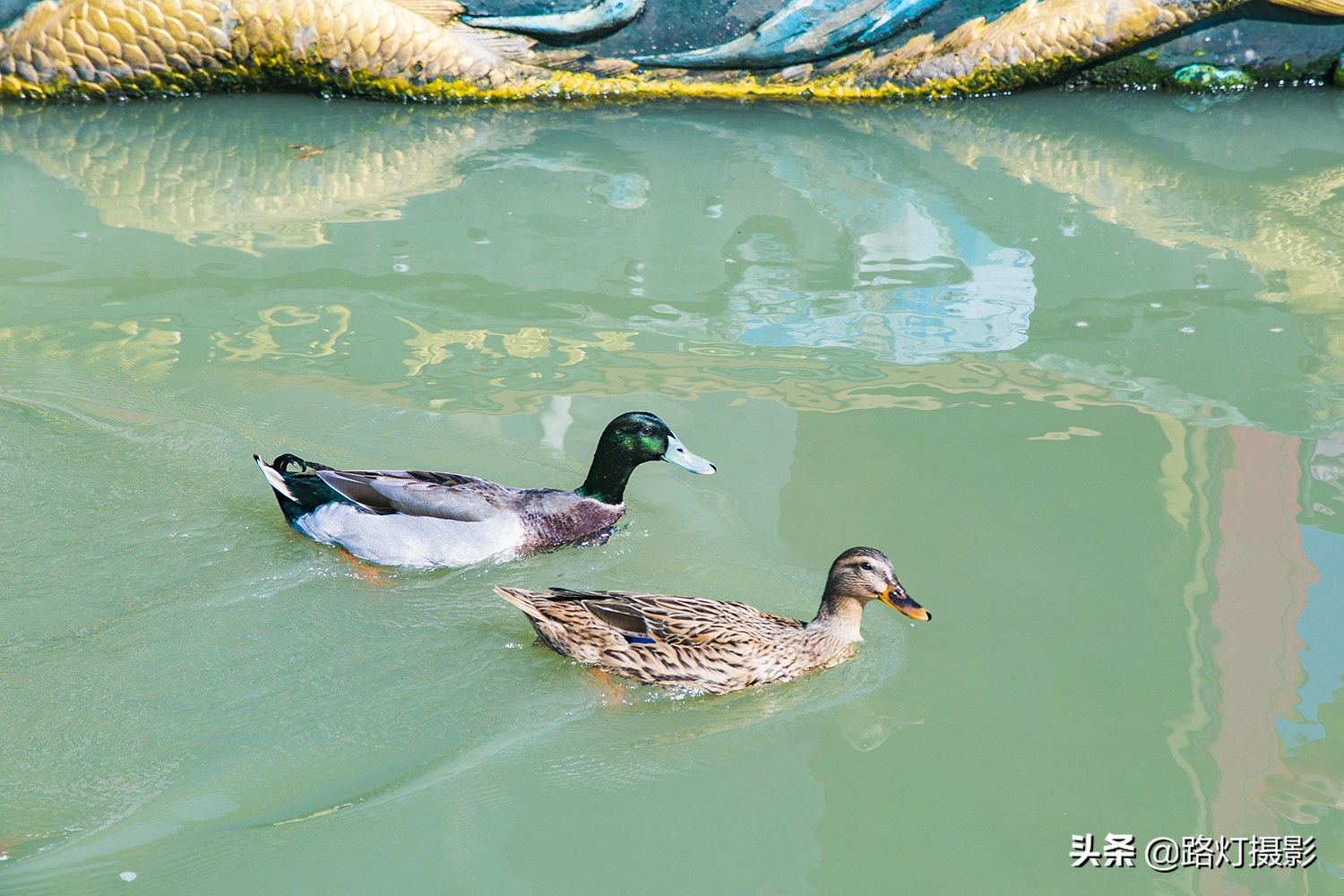 中国最美城市排名扬州,中国三月最美的地方扬州