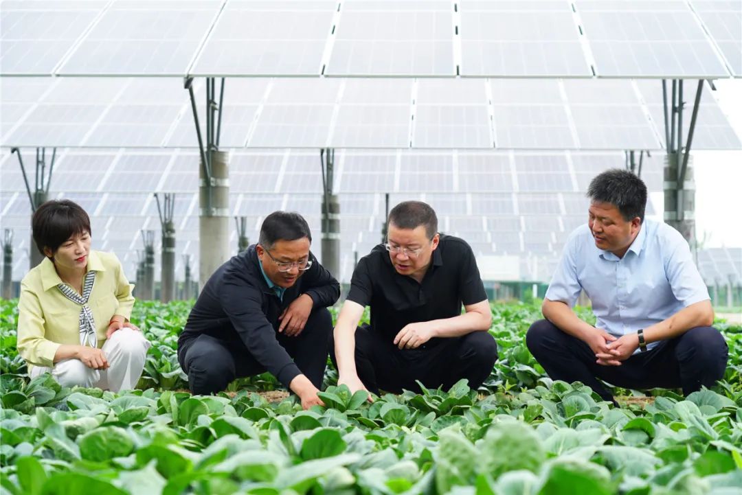 临汾新闻早知道|贺天才在我市调研；*载下**“临汾云”APP报名歌手大赛；首届青年互联网企业创新创业赛报名