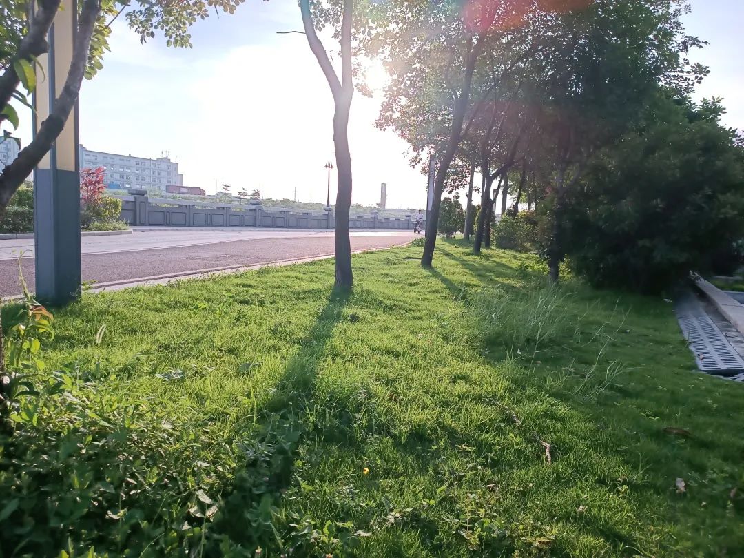 鎬荤粨8鏈堢殑鐢熸椿,鍏充簬5鏈堢殑鍏呭疄鎬荤粨