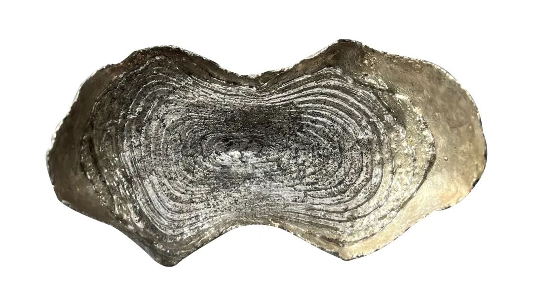 古钱币拍卖专场,2016年古钱币拍卖信息