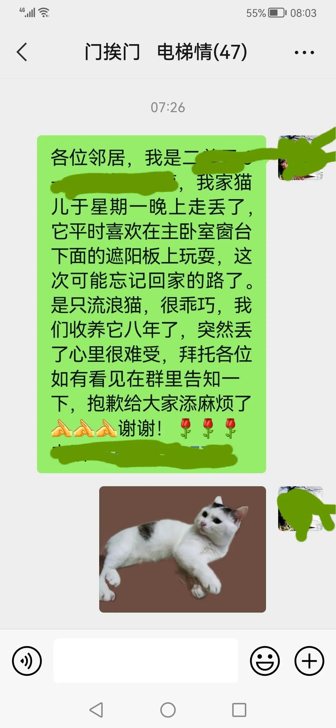 不辞而别的咪咪