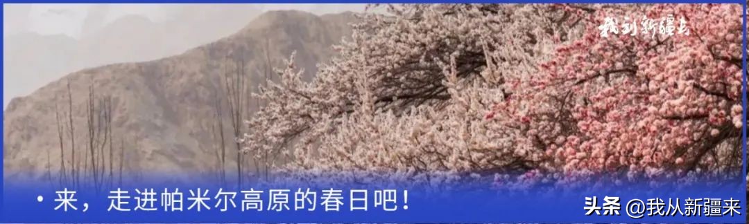 入疆旅游攻略,一篇攻略秒懂新疆