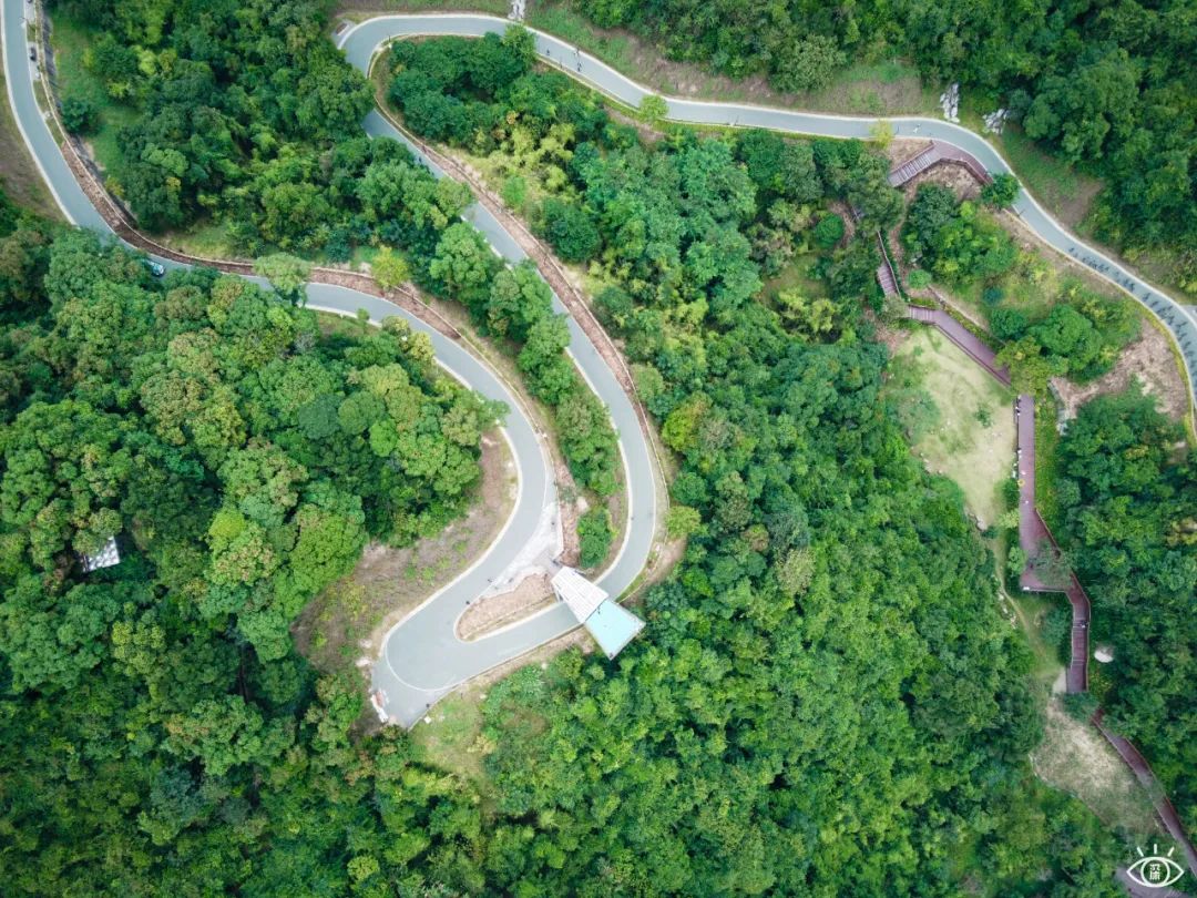 深圳周末带孩子免费游玩好去处,周末去哪玩推荐深圳