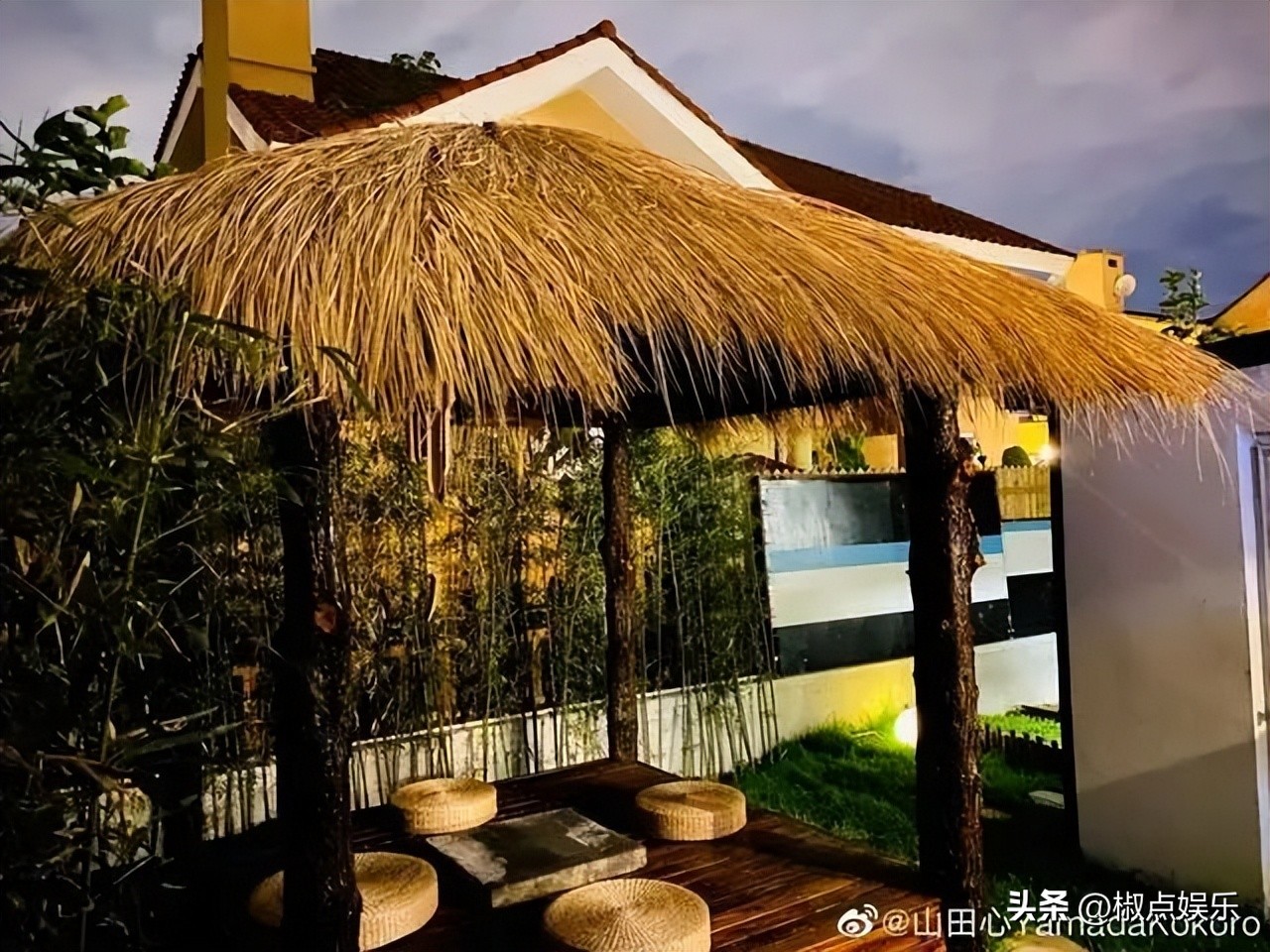 高速服务区明星,高速服务区唱歌