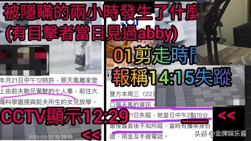 蔡天凤案怎么被人发现的,蔡天凤被害案全过程最新消息