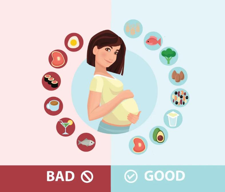 孕期后三个月补什么营养,孕期营养食谱书