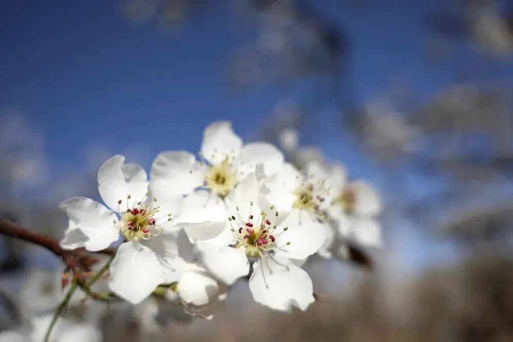 常新常玩！“云旅游”促区域文旅产业“营销”变“赢销”