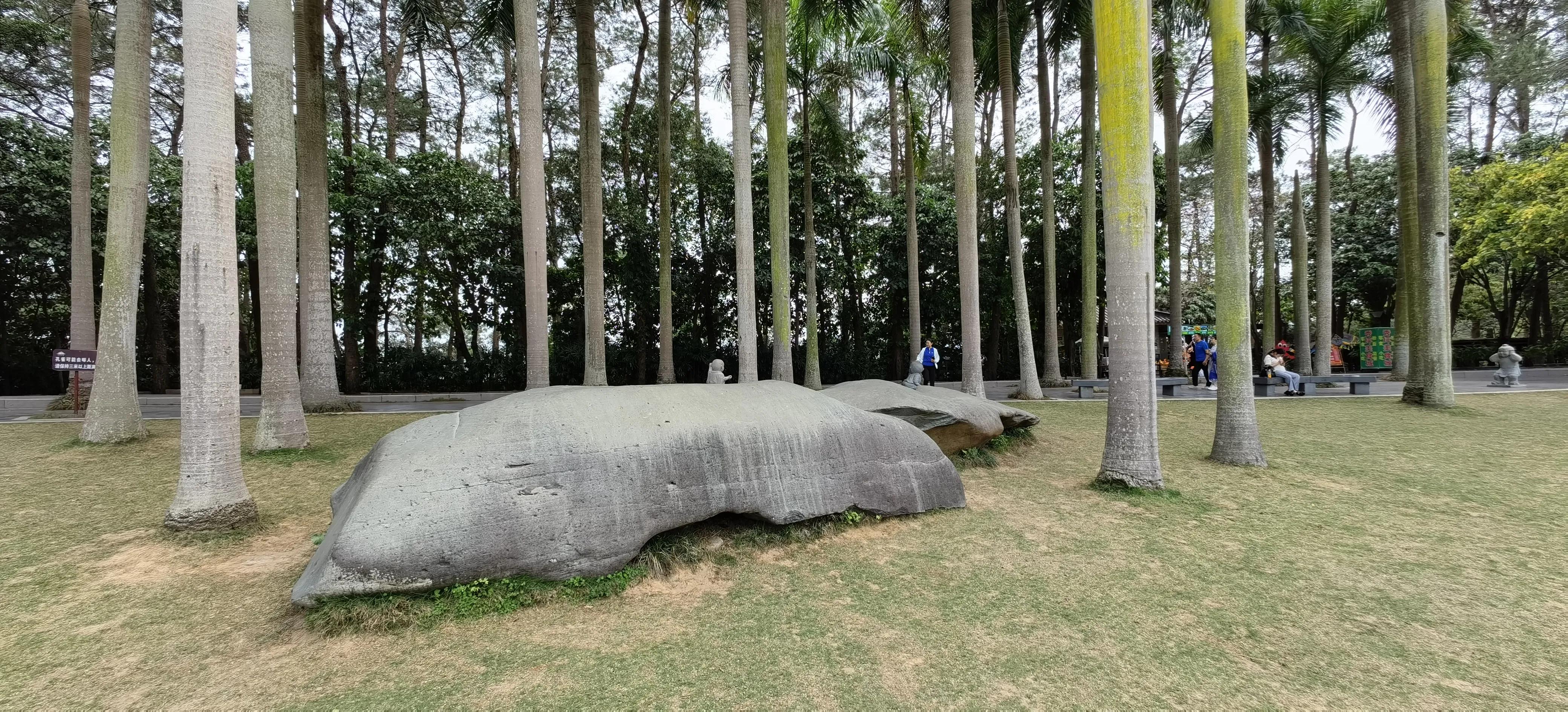 旅行日记记录一家人美好生活,旅行日记85天