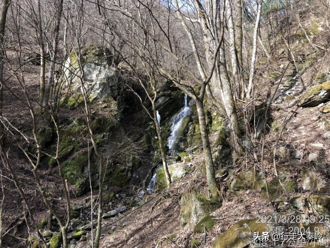 首阳山穿越大坪梁景色怎么样,大坪梁穿越到首阳山攻略