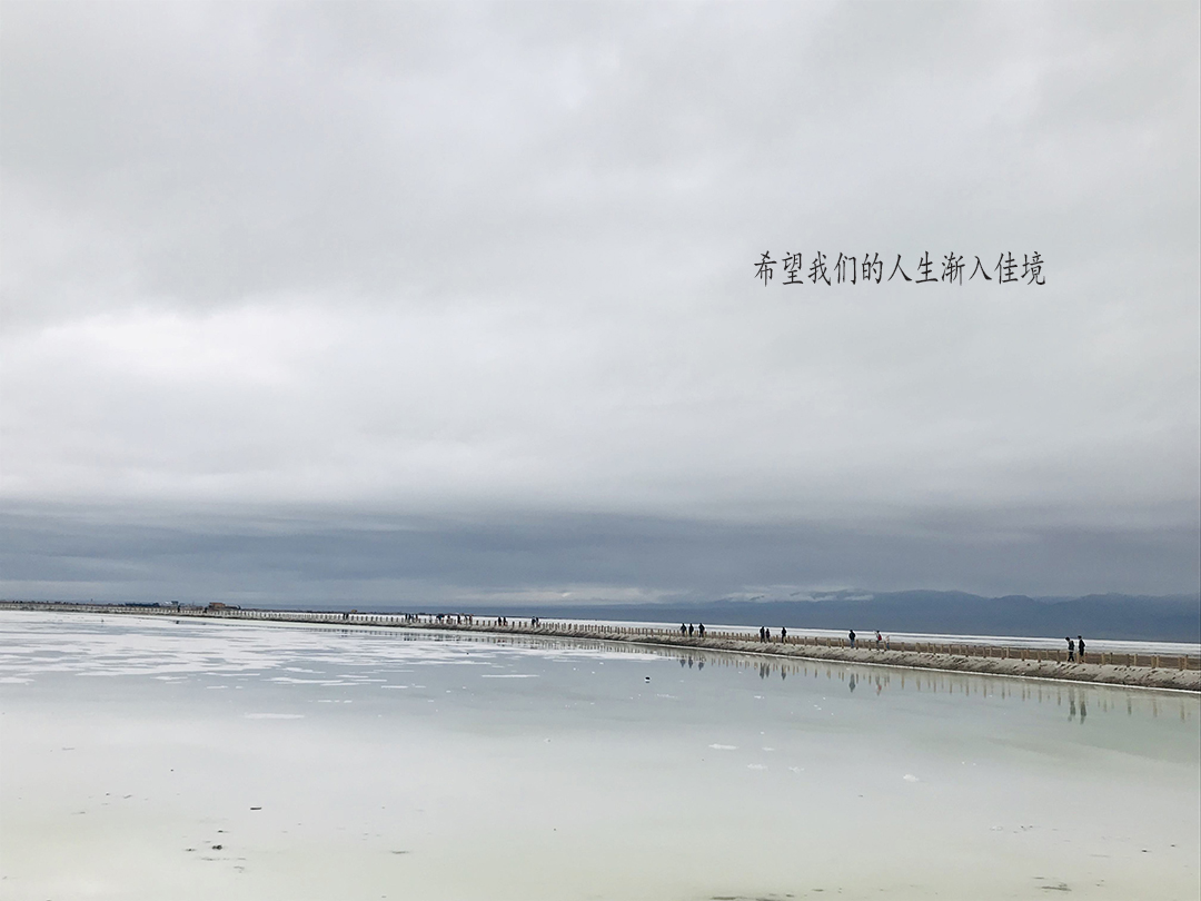 青梅竹马小说来路是归途,青梅竹马双学霸校园长篇甜文