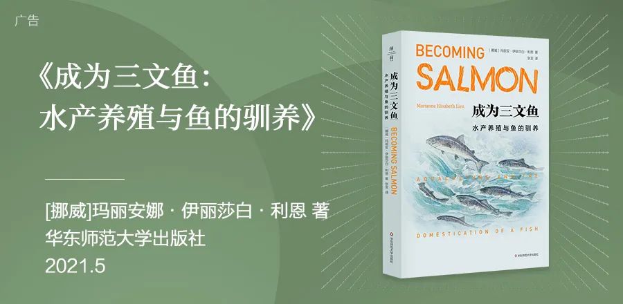 下半年,向上看,11本书带你预见未来,重拾信心|蓝狮子书单