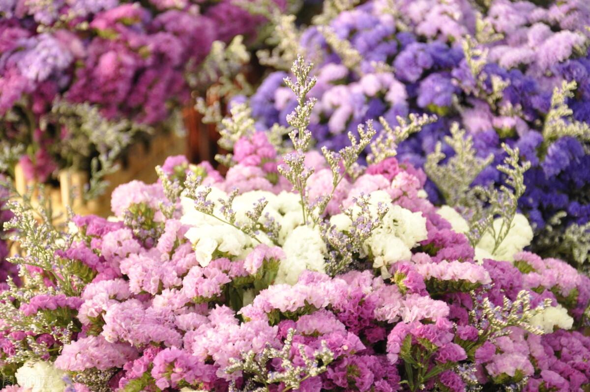 有种女人让男人爱到上瘾,4招轻松成为让男人上瘾的女人