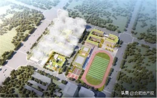 合肥各个区域学区学校排名,合肥五中东校区学区划分