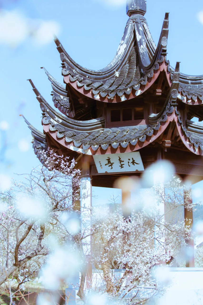 苏州一个新的人间天堂,东方威尼斯苏州视频