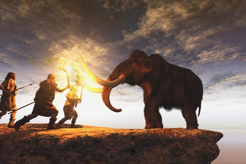 科学家复活的猛犸象怎么样了,科普如何复活一只猛犸象