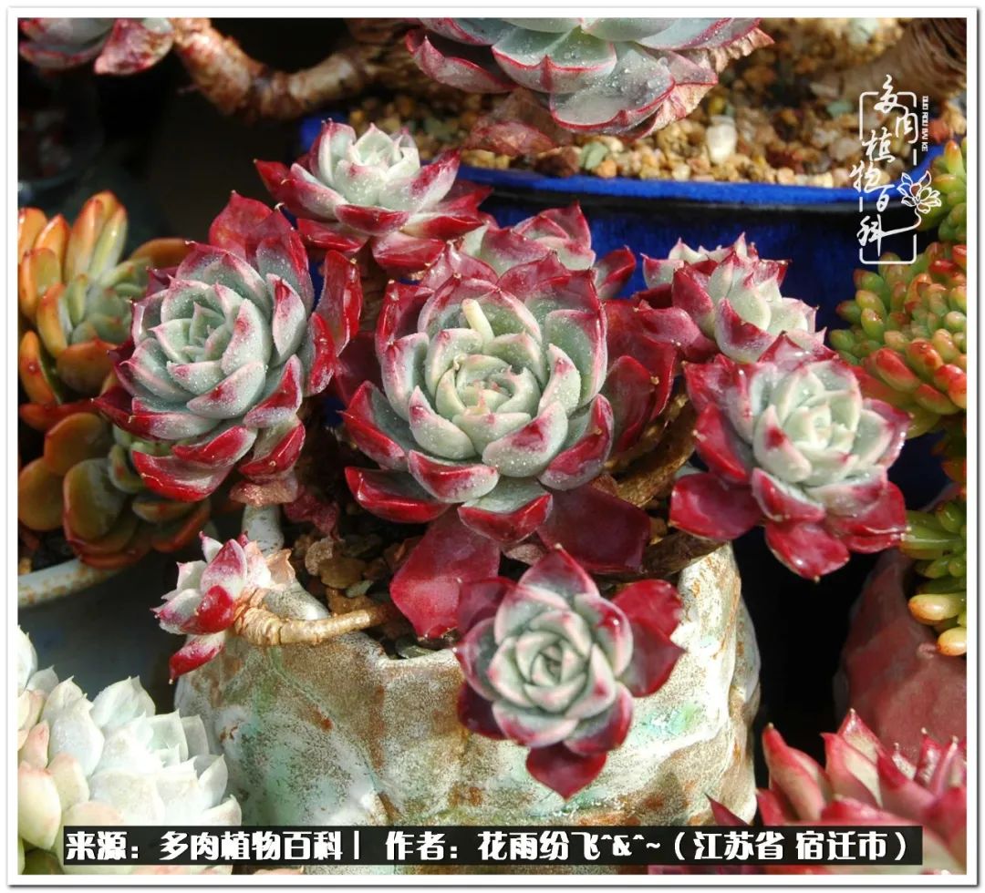 回味童年无忧无虑的快乐时光,童年最快乐的时光