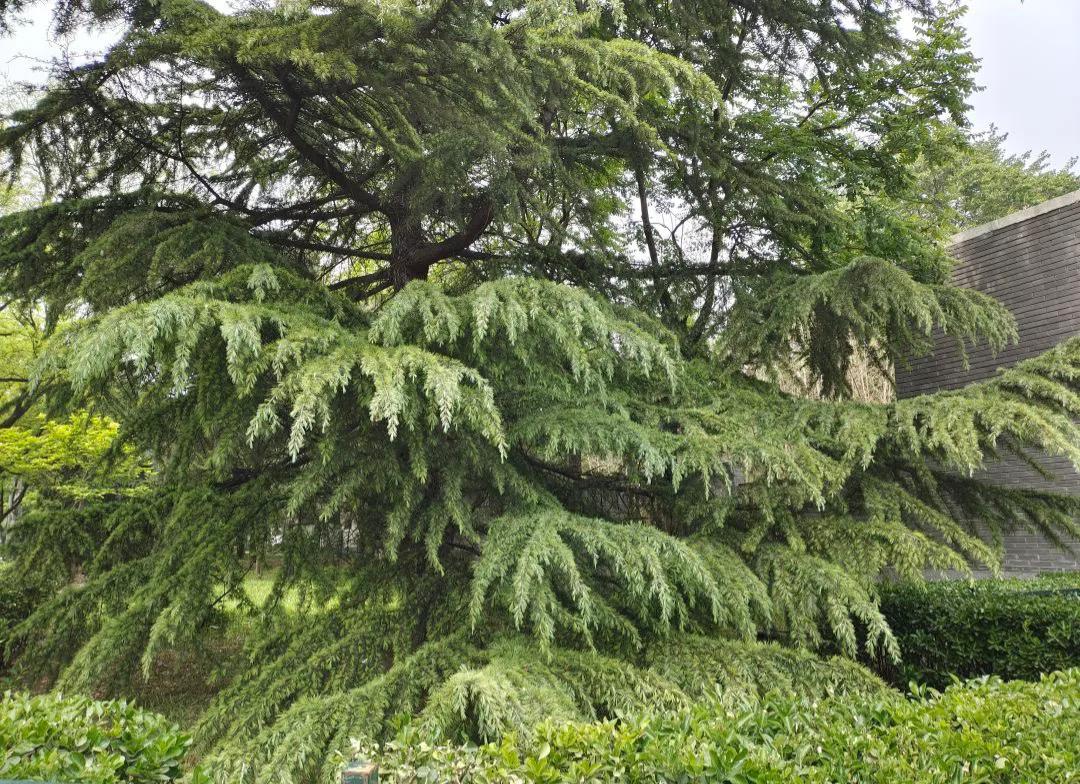 国色天香秀色可餐的美女 (秀色可餐与国色天香)