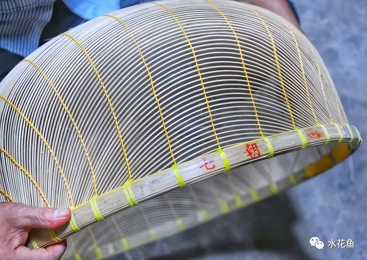 筛鱼神器小筛,4厘米宽的鱼筛可以筛多大的鱼