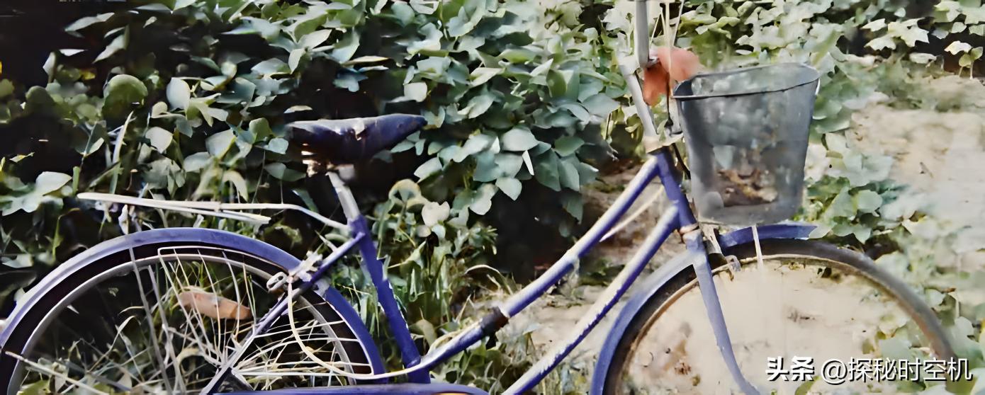 月圆之夜消失的少女：10天后麦田惊现女尸，24年后真相得以揭开