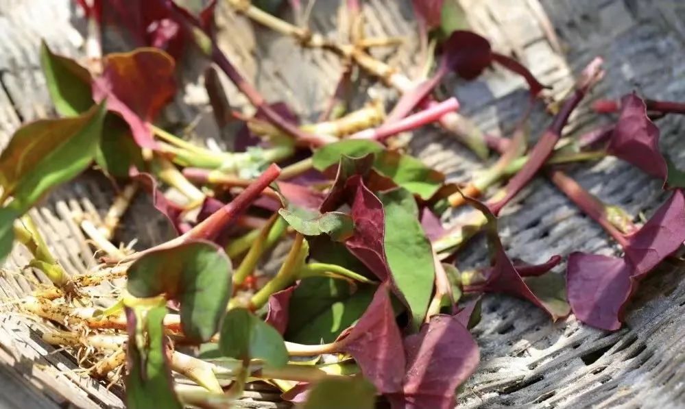 醉美偏坡美食团购,醉美偏坡海鲜烧烤