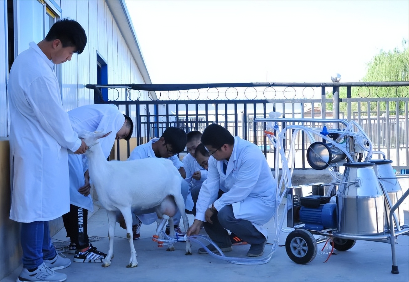 高考志愿冷门行业有哪些,目前高考填报志愿冷门专业有哪些