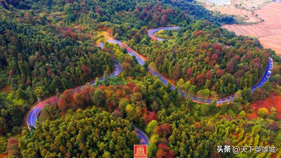 南昌环青山湖跑步路线图,江苏最美跑步路线图