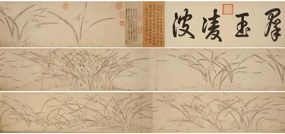 地标馆|水沉为骨玉为肌不“装蒜”的水仙花是真正的水中仙